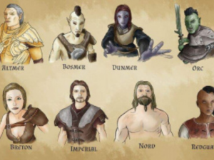 List of the Races of Skyrim