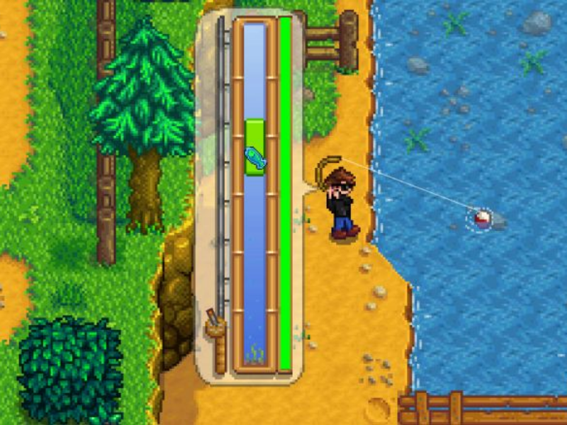 stardew valley fall fishing guide